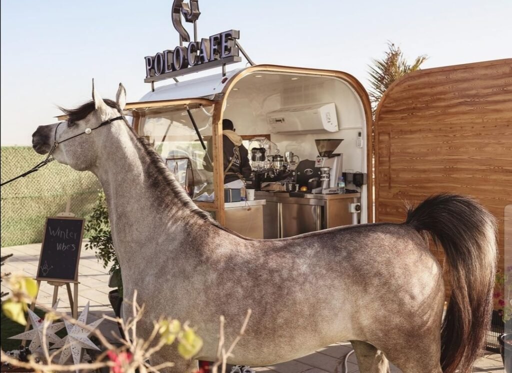 best food trailer manufacturers